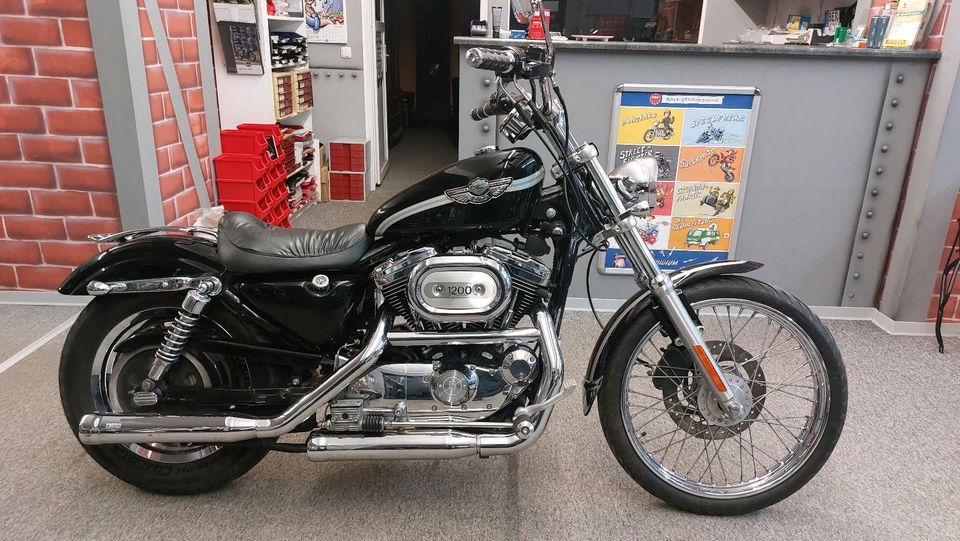 Harley Sportster 1200 Custom XL1200C in Werneuchen
