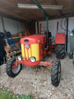 Massey Ferguson MF 65 Brandenburg - Ludwigsfelde Vorschau