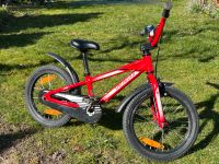 Specialized Hotrock Boys Kinderfahrrad 16 Zoll Borsdorf - Panitzsch Vorschau