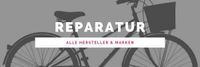Fahrrad E-Bike Pedelec Service Inspektion Werkstatt Bayern - Baar-Ebenhausen Vorschau