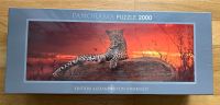 Puzzle red Dawn Heye Art.-Nr. 29608 Leopard rot Bayern - Rosenheim Vorschau