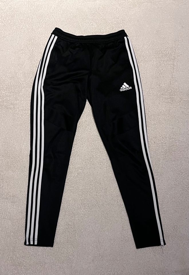 Adidas Jogger in Hiltrup