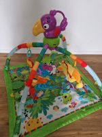 Spielbogen von Fisher Price Herzogtum Lauenburg - Lauenburg Vorschau