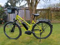 E-Bike Pegasus Solero grün gelb lime Ebike Niedersachsen - Isenbüttel Vorschau