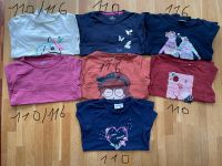 s.Oliver H&M Topolino Mädchen T-Shirt Pullover Longsleeve 110 116 Thüringen - Erfurt Vorschau