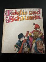 Fidelio und Schrumm, E.+E. Binder Kinderbuch, DDR Dresden - Coschütz/Gittersee Vorschau