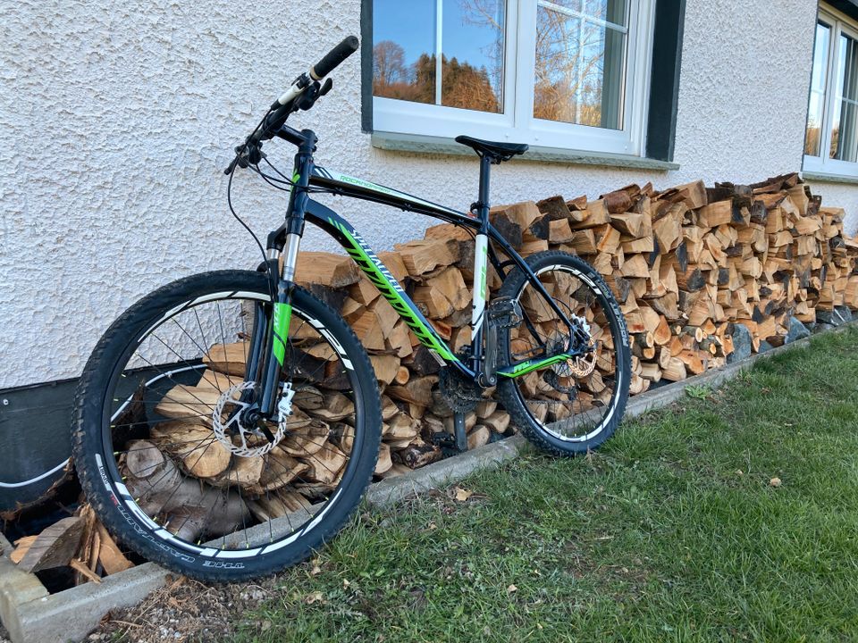 Specialized Fahrrad Rockhopper in Willingen (Upland)