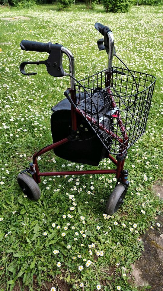 2× Rollator in sehr guten zustand in Bonn