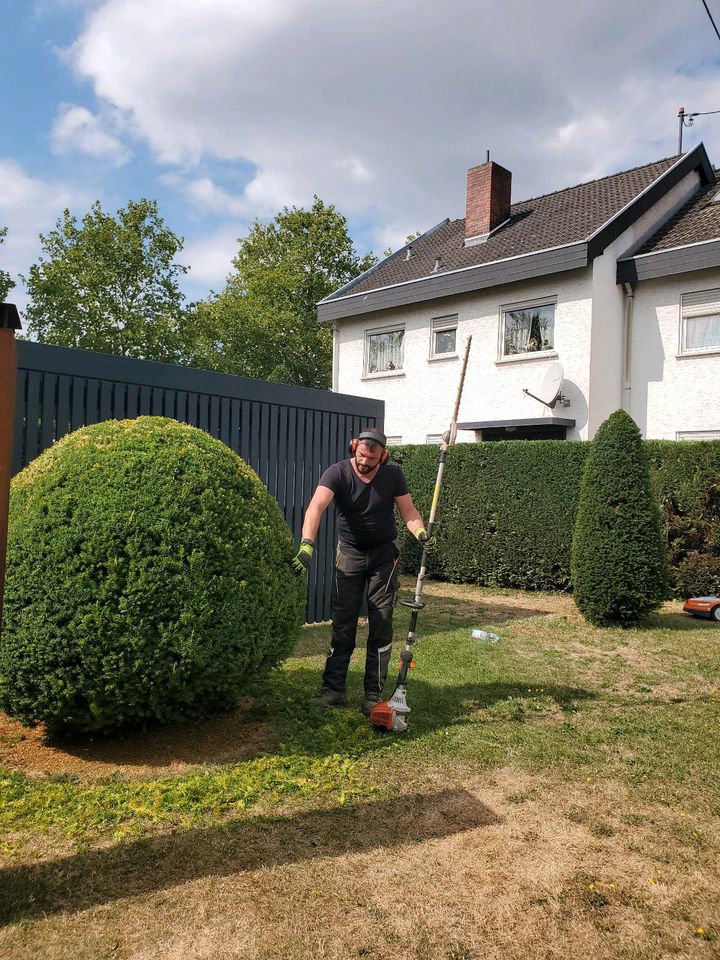 Baumfällung und Gartenpflege in Lahnstein