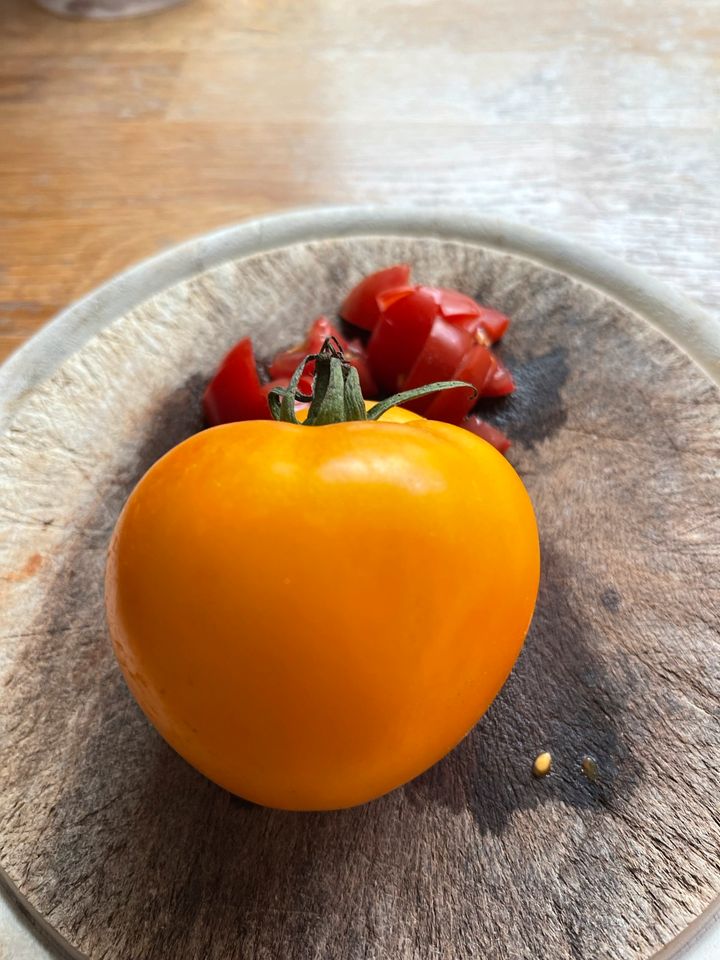 Saatgut gelbe Tomate in Meißenheim