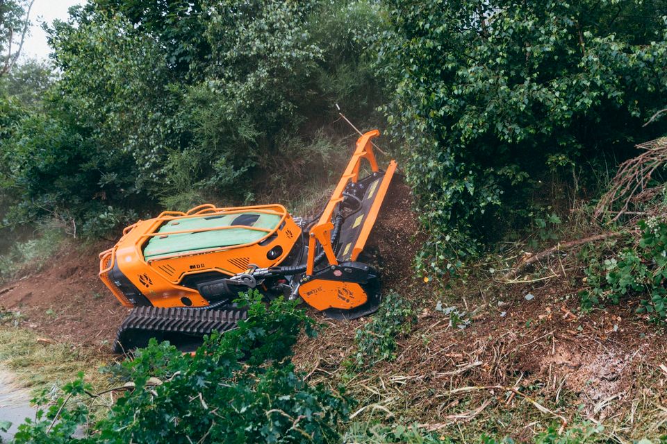 MDB LV800 PRO Forstraupe/ Mulchraupe mit MDB Forstmulchkopf-Lager in Schmallenberg