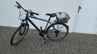 Fahrrad 28 Zoll Trekkingrad Herrenrad von Adler Nordrhein-Westfalen - Verl Vorschau