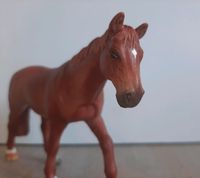 Schleich Repaint Fuchs Holsteiner Köln - Rodenkirchen Vorschau