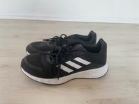 Adidas Sportschuhe Herren Kr. Dachau - Markt Indersdorf Vorschau