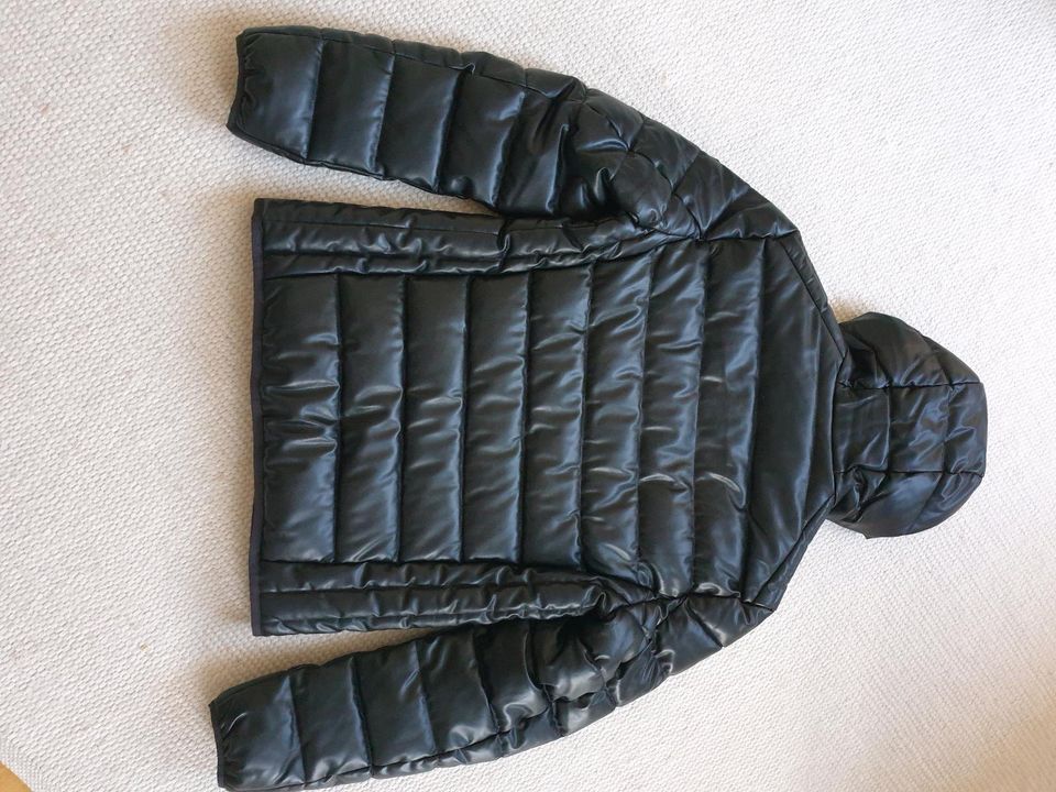 Herren Winterjacke/Steppjacke NEU, Größe S von Mc Neal (von  P&C) in Frankfurt am Main