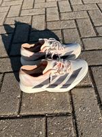 Adidas Adizero Adios Pro 4 Herren EU 42 / US 8.5 „Dirt Road“ Bayern - Würzburg Vorschau