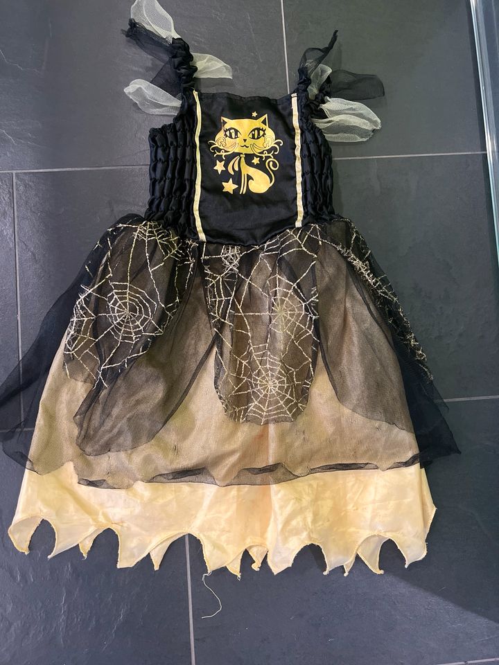 Kinder Kostüm Hexe,Halloween,Spinne,Gr. ca 104-116 in Blieskastel