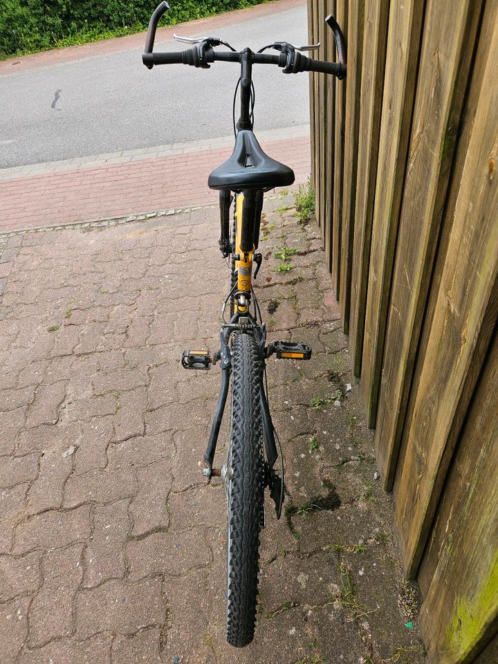 Altes aber gutes Herrenfahrrad in Wewelsfleth