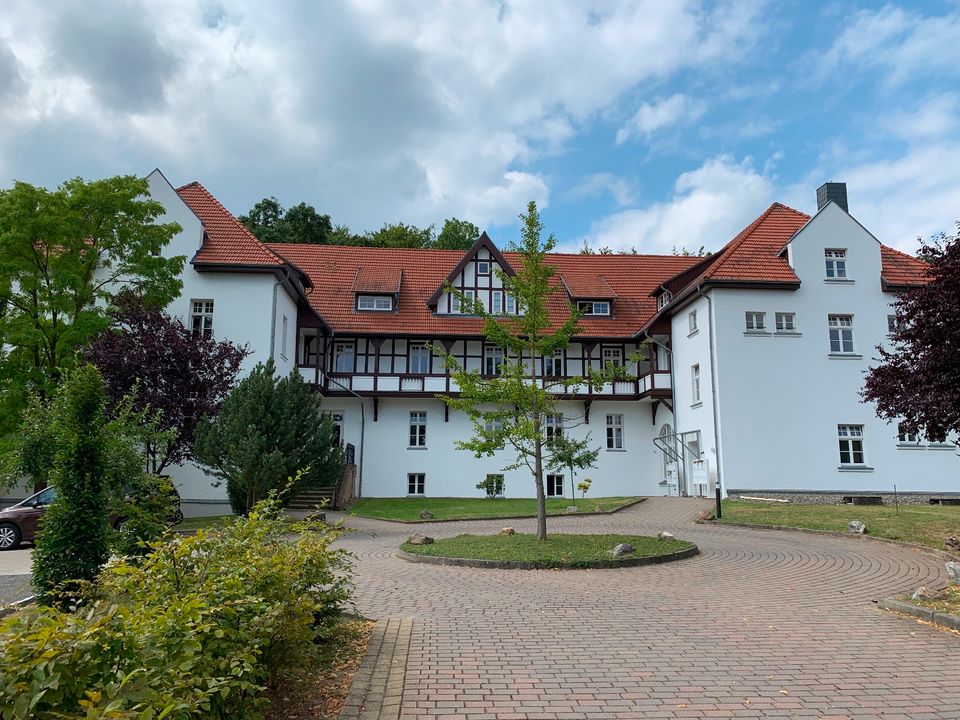 Gemütliche 2-Zimmer-Wohnung im Herzen von Ilsenburg in Ilsenburg (Harz)