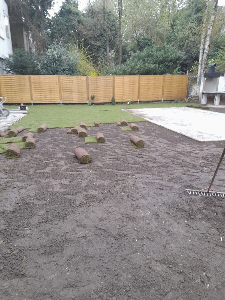 Rollrasen Gartenarbeit Gärtner Heckenschnitt  Umgraben in Essen