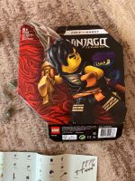 Lego Ninjago top Zustand Aubing-Lochhausen-Langwied - Aubing Vorschau