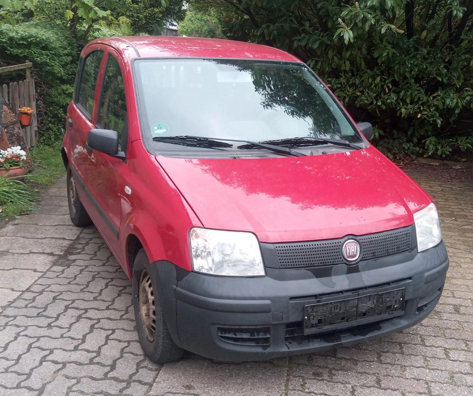 Fiat Panda  , TÜV 05/2026 , Top Zustand in Fahrdorf