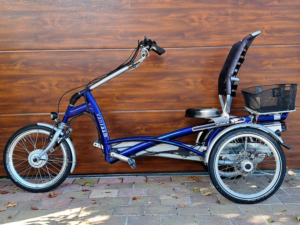 Van Raam Easy Rider 2 mit Elektrounterstützung ebike in Königsbach-Stein 