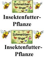 Stauden , Pflanzen, Insektenfreundlich, Bienen- Futterpflanzen Niedersachsen - Estorf Vorschau