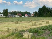 Heu, Heuballen, HD-Ballen, Kleine Ballen Sachsen - Wittichenau Vorschau