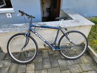 Fahrrad  26 zoll Bayern - Höchstadt Vorschau