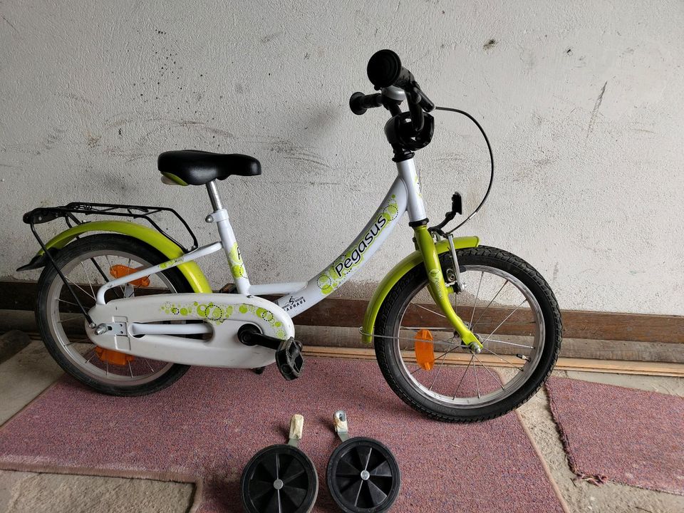 Pegasus Kinderfahrrad 16 Zoll in Hof (Saale)