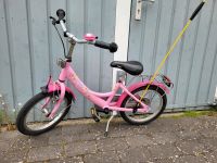 Puky Fahrrad 16 Zoll Schleswig-Holstein - Ellerau  Vorschau