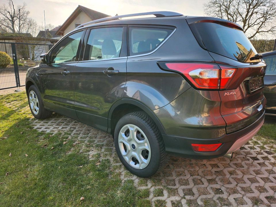 Ford Kuga Cool & Connect 1,5 4x2 Winter-Paket. Parkassistent..... in Grabowhöfe