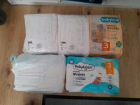 5x Windeln Pampers Gr 3 babylove babydream Dortmund - Neuasseln Vorschau