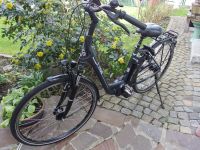 E-bike  RIXE BORDEAUX Bayern - Arnstorf Vorschau