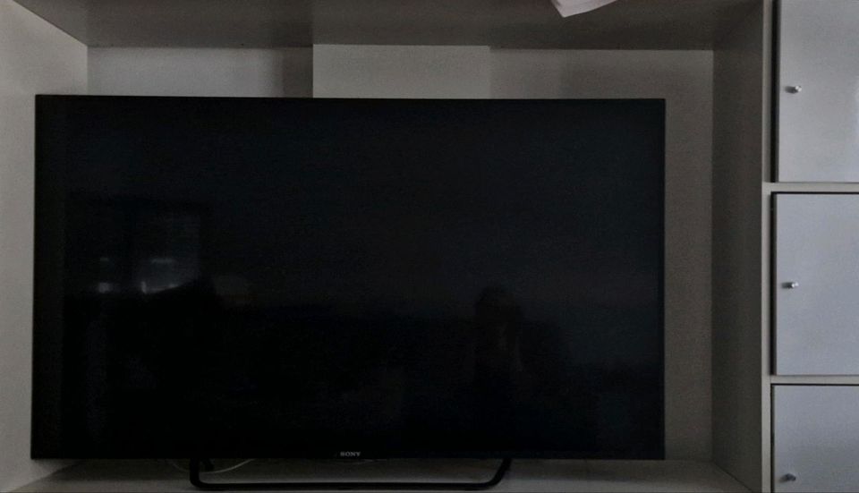 Sony Bravia Smart TV 4K 55Zoll 55X8505C Defekt in Filderstadt