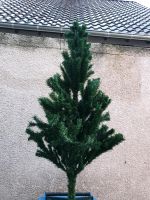 Künstlicher Weihnachtsbaum 150cm Rheinland-Pfalz - Andernach Vorschau