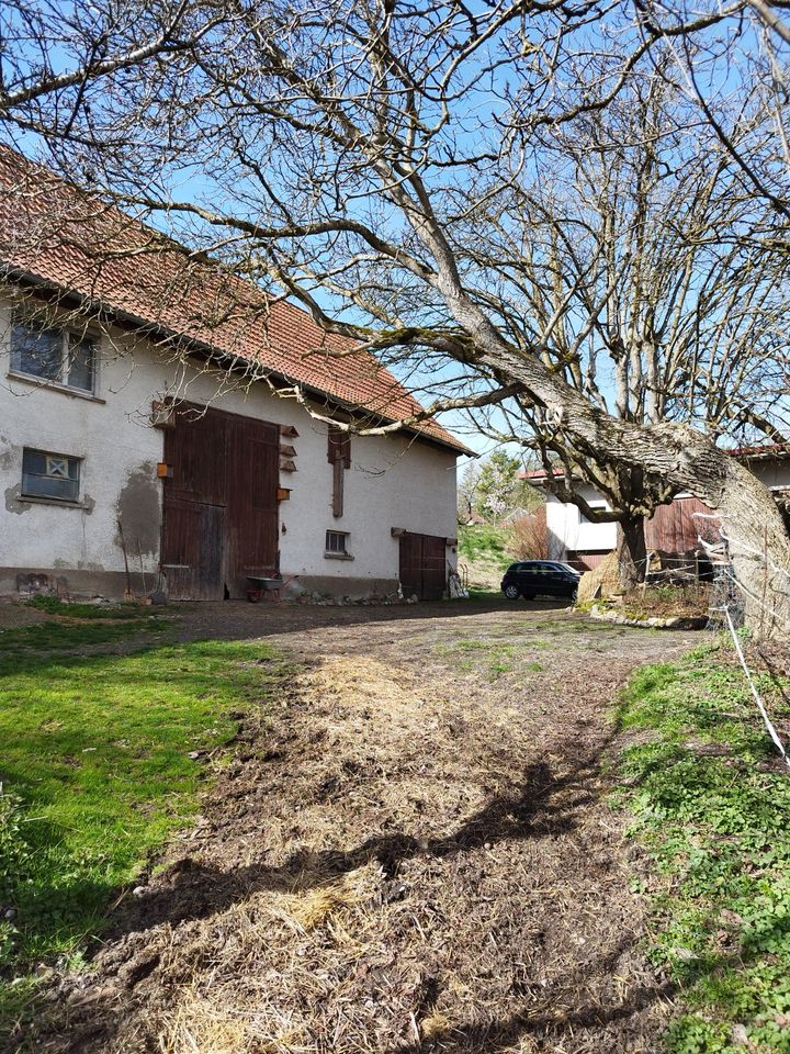 Bauernhaus, Bauernhof, erschlossener Bauplatz mit Gebäudebestand in Pfullendorf