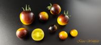 Artisan Bumblebee Tomaten Samen Baden-Württemberg - Mannheim Vorschau