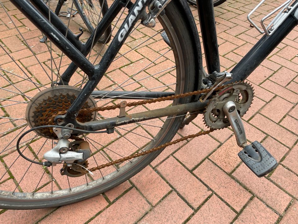 Fahrrad Giant Tourer in Berlin