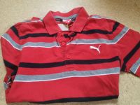 Polo Shirt Puma Gr. S 44 46 Baden-Württemberg - Ulm Vorschau