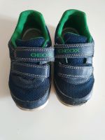 Geox turnschuhe Schuhe 24 sneakers Köln - Weidenpesch Vorschau