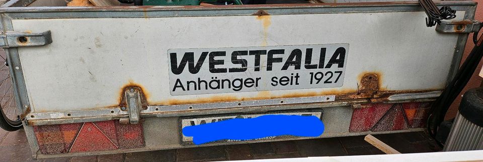 Westfalia heckklappe offerner Kasten in Wolfenbüttel