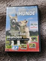 Dvd Liebe  Hunde  Baden-Württemberg - Ostrach Vorschau