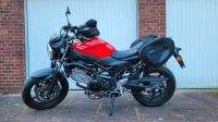 Suzuki SV 650 (Modell 2017) Münster (Westfalen) - Gremmendorf Vorschau