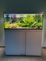Eheim Aquarium 200l Unterschrank+ BIO Master THERMO 350 Außenfilt Dortmund - Berghofen Vorschau