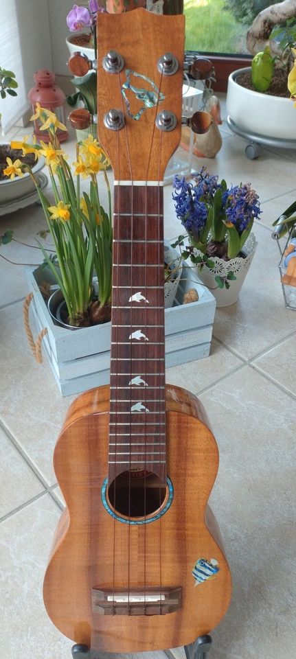 HONU Big Island Ukulele in Arnstadt