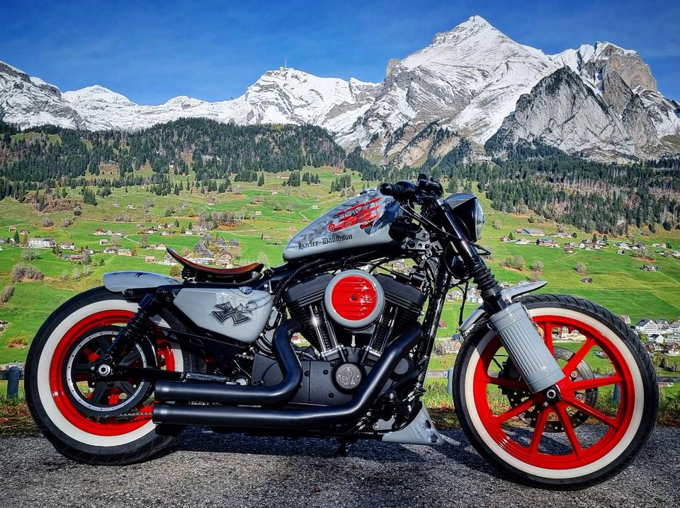 Harley-Davidson Iron 1200 Sportster Projekt Bike "Der rote Baron" in Meckenbeuren
