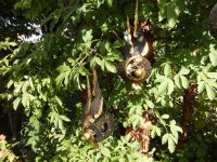 Kerzenhalter Windlichter Windlicht Skulptur Tropfen 3 Stück Bayern - Mauern Vorschau