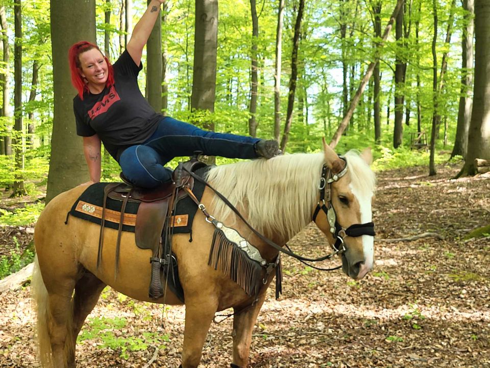 Palomino-Stute-Freizeitpferd in Urbach Westerw